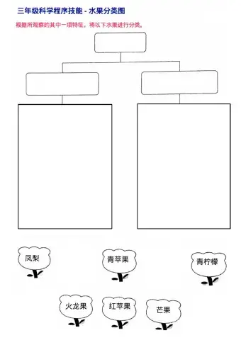 三年级科学-水果分类图