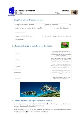 Naturales 6º-Unidad 2