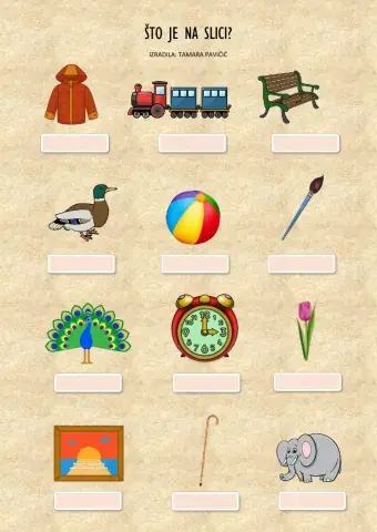 ŠTO JE NA SLICI?