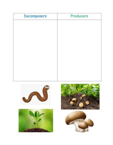 Decomposers and Producers