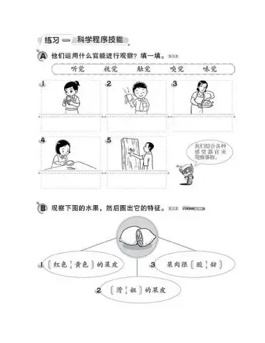 3年级科学 第一课（科学程序技能）