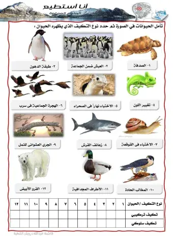 التكيف التركيبي والسلوكي