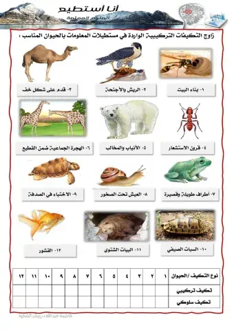 تكيف الحيوانات