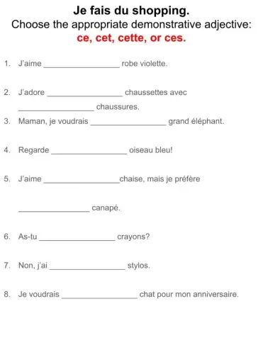 Shopping: Demonstrative adjectives