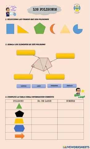 Los polígonos y sus elementos