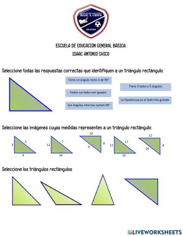 Triángulos Rectángulos Conceptos Básicos