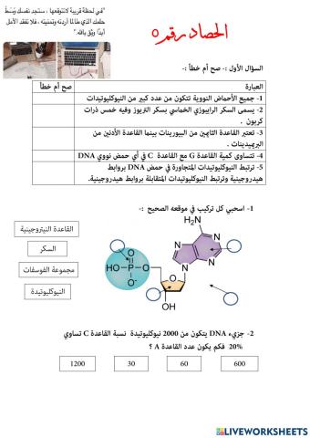 الأحماض النووية
