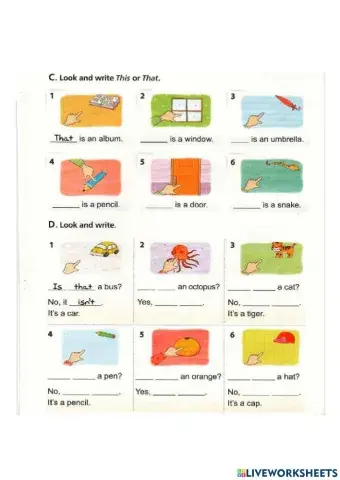 Demonstrative adjectives