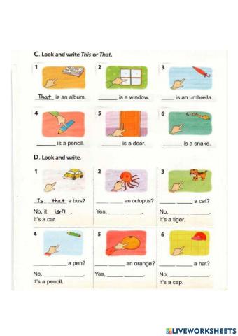 Demonstrative adjectives