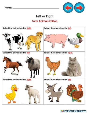 Maths Concepts: Left or Right