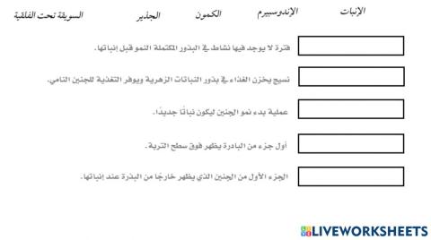 الاخصاب في النبات