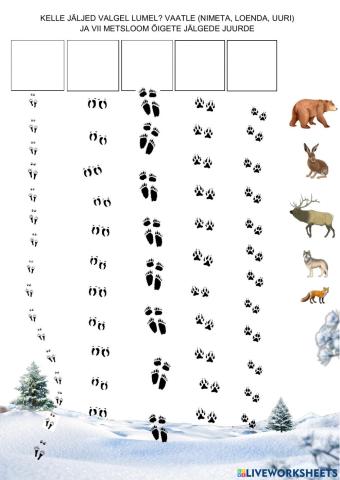 Kelle jäljed valgel lumel