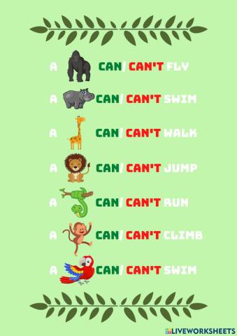 Animals can-can't bugs team 1 unit 4