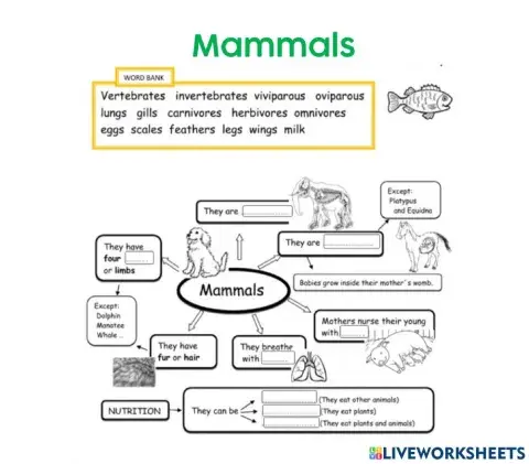 Mammals