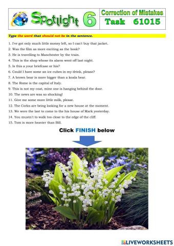 Spotlight 6 Task 61015