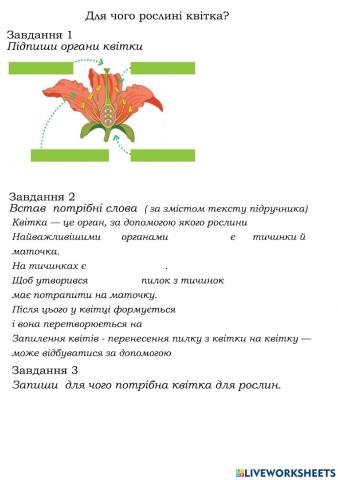 Для чого рослині квітка