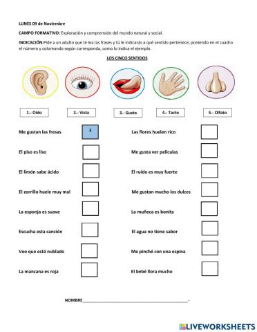 Los 5 sentidos