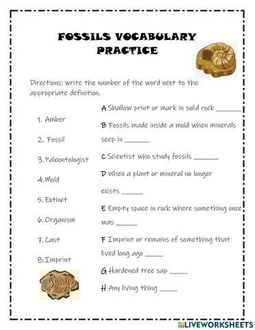Vocabulary practice Fossils