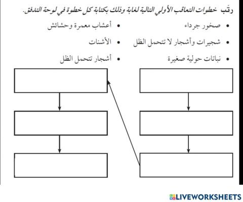 التعاقب البيئي