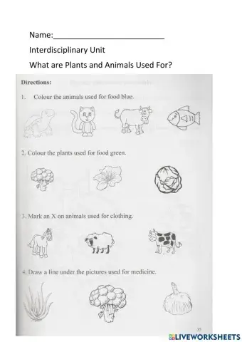 What Plants and Animals are Used For?