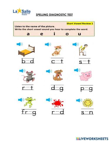 Spelling Diagnostic Test