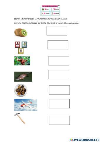 Escritura de palabras