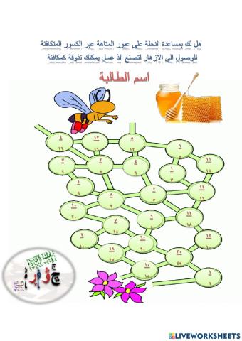 الكسور المتكافئة