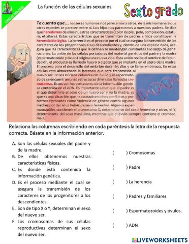 La función de las células sexuales