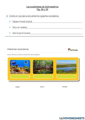 Ecosistemas de Centroamérica-4G