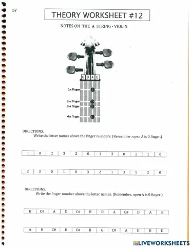 Notes on the A String Violin