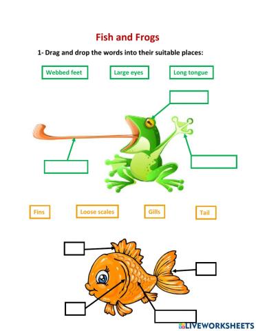 Fish and Frogs