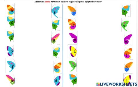 Sessiz Harf büyük küçük sürükle bırak