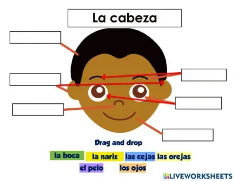 La Cabeza-The Head