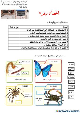 الحصاد رقم 7