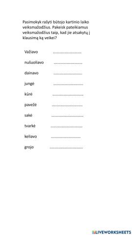 Būtasis kartinis laikas ką veikei?