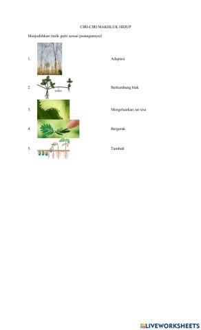 Latihan Soal Ciri-ciri Makhluk Hidup