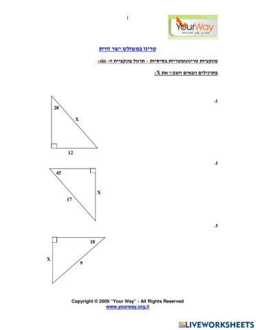 טריגונומטריה בסיס