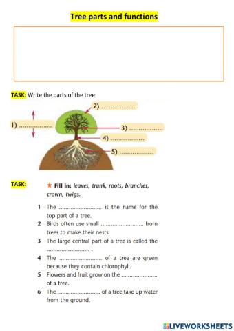 Tree parts and functions