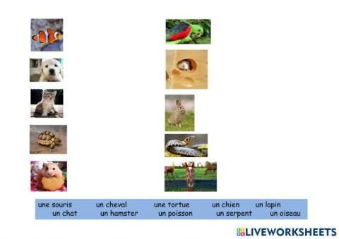 Label the animals in French