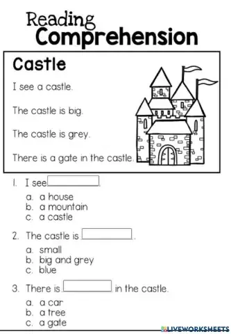 Reading Comprehension