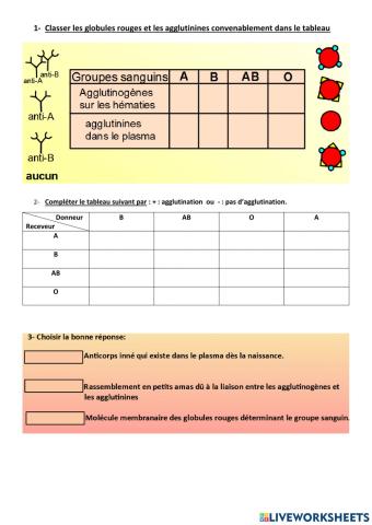 Groupes sanguins et transfusions sanguines