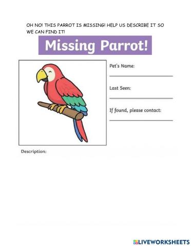 Missing Pet Poster
