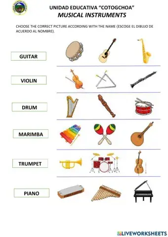 Musical instrument