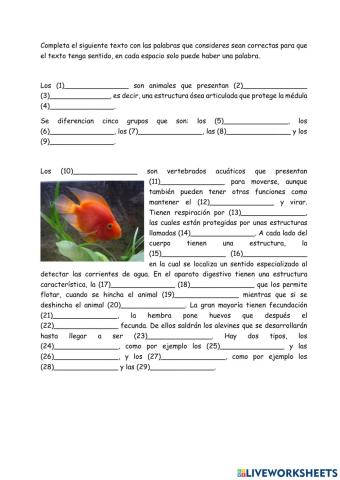 Animales vertebrados - peces