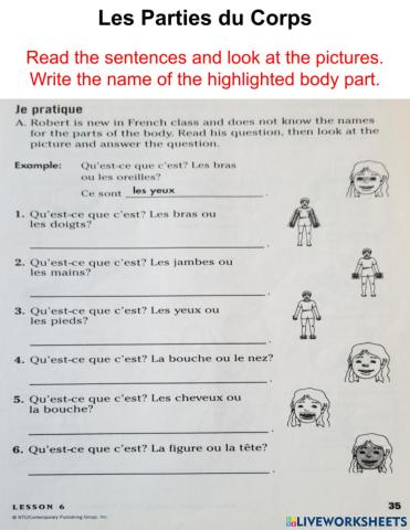 Identify the highlighted body part