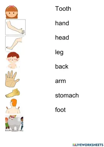 Body parts - Listening vicabulary