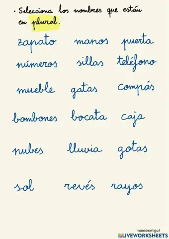 El número de los nombres. Plural.