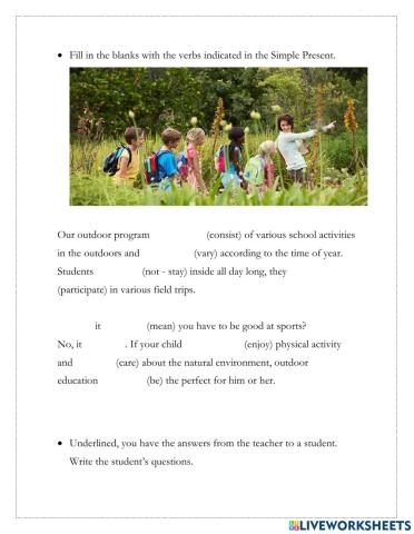 Simple Present and WH- questions