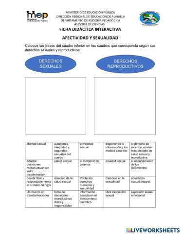 Afectividad y sexualidad derechos