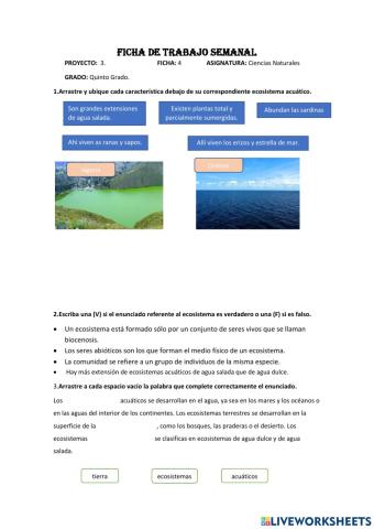 QUINTO. ECOSISTEMAS. FICHA 4